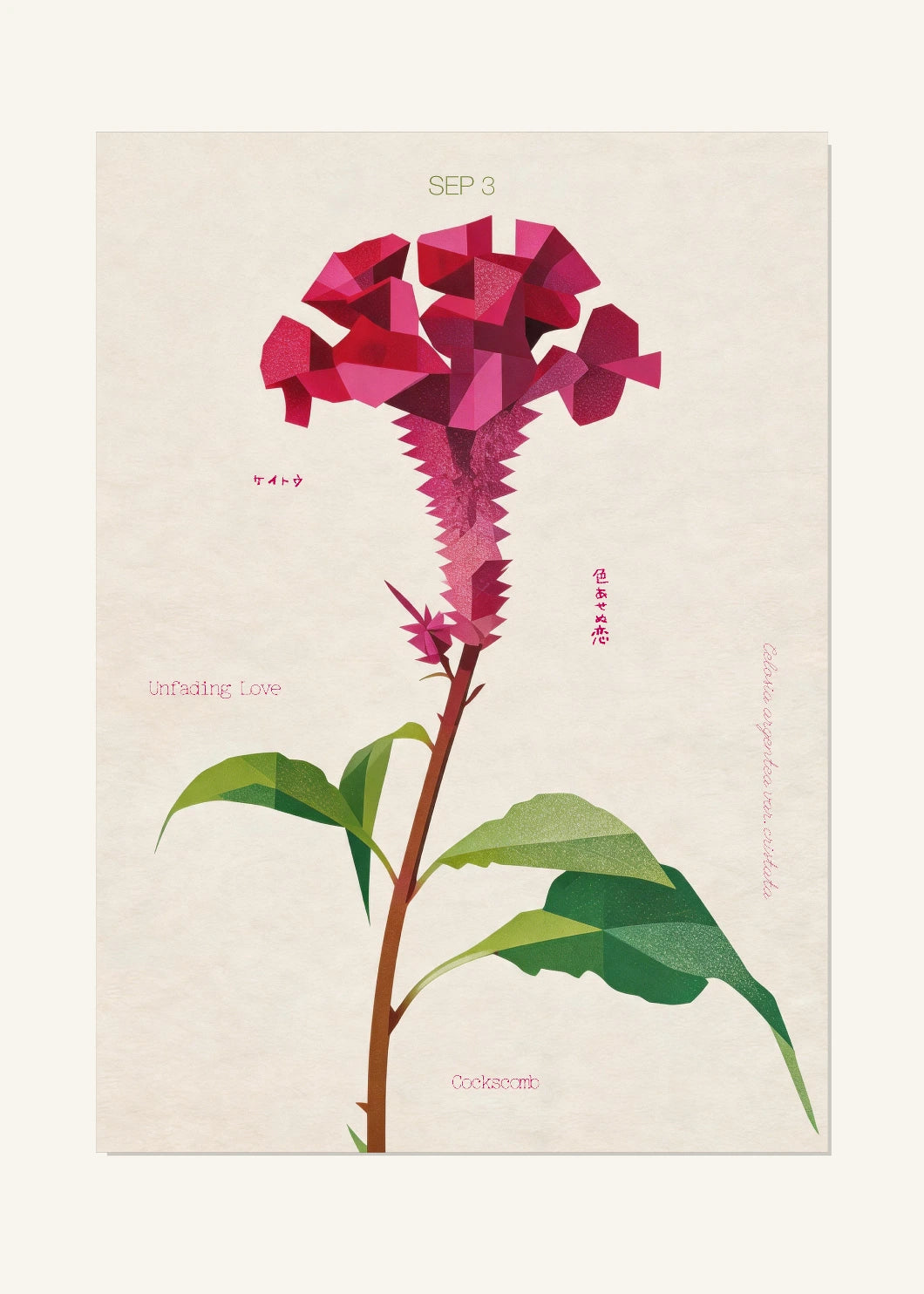 September 3 Birth Flower Poster — Cockscomb — clean