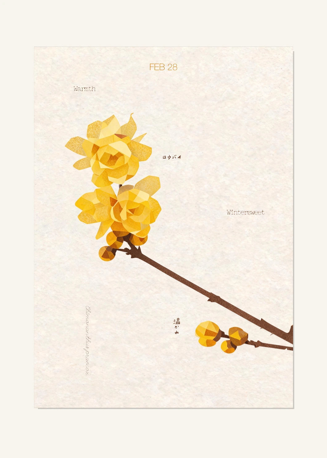 February 28 Birth Flower Poster — Wintersweet — clean