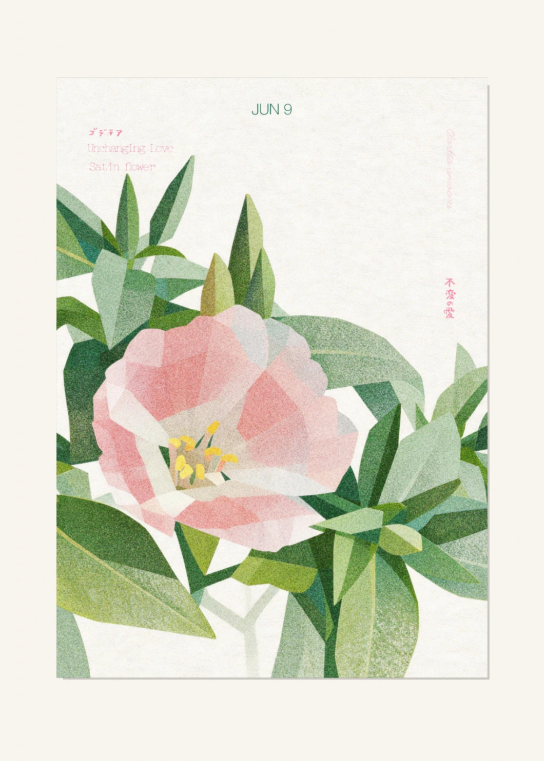 June 9 Birth Flower Poster — Satin Flower — clean