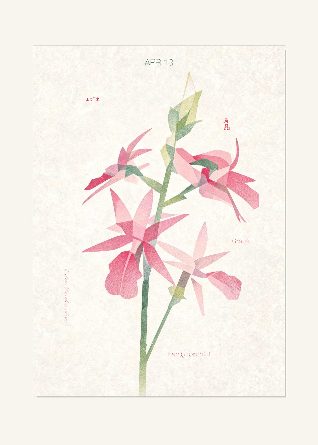 April 13 Birth Flower Poster — Japanese Hardy Orchid — clean