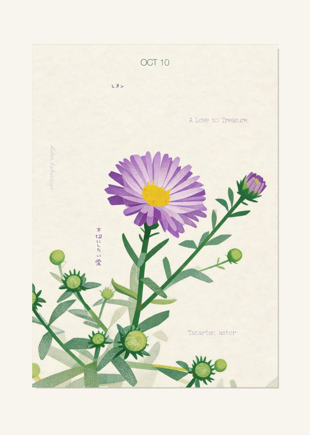October 10 Birth Flower Poster — Tatarian Aster — clean