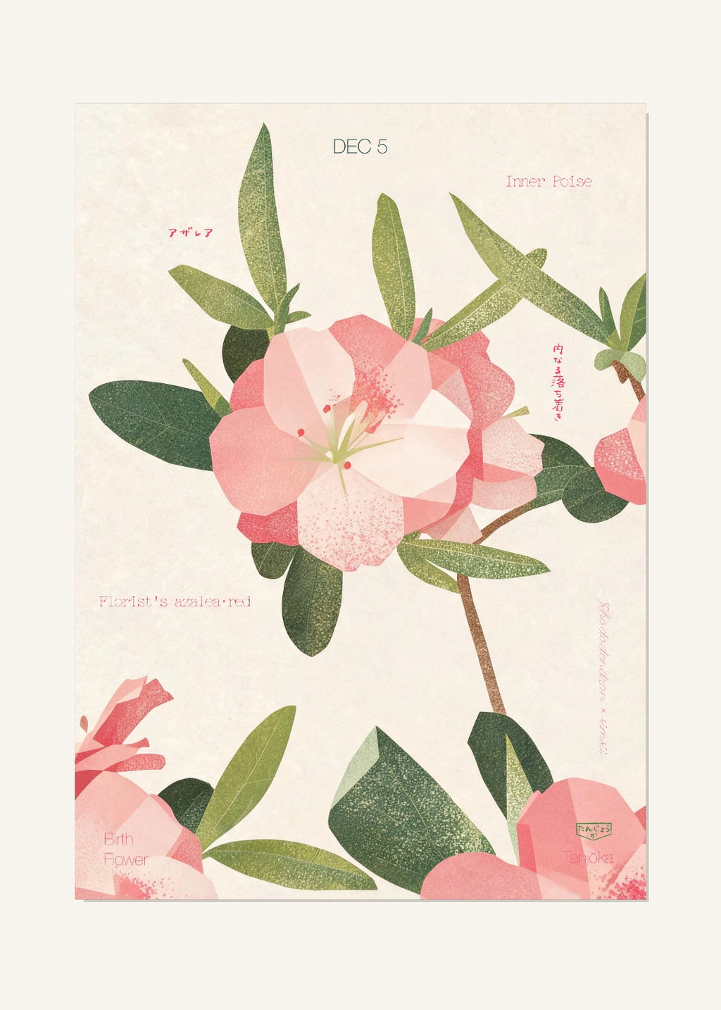 December 5 Birth Flower Poster — Florist's Azalea (Red) — clean