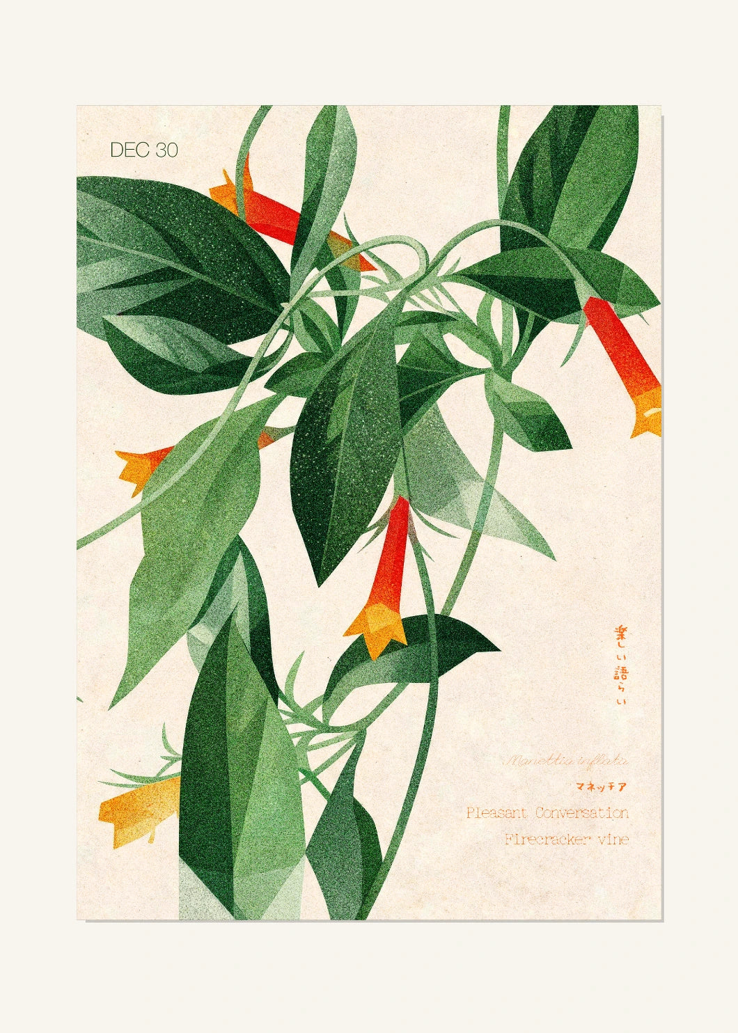 December 30 Birth Flower Poster — Firecracker Vine — clean