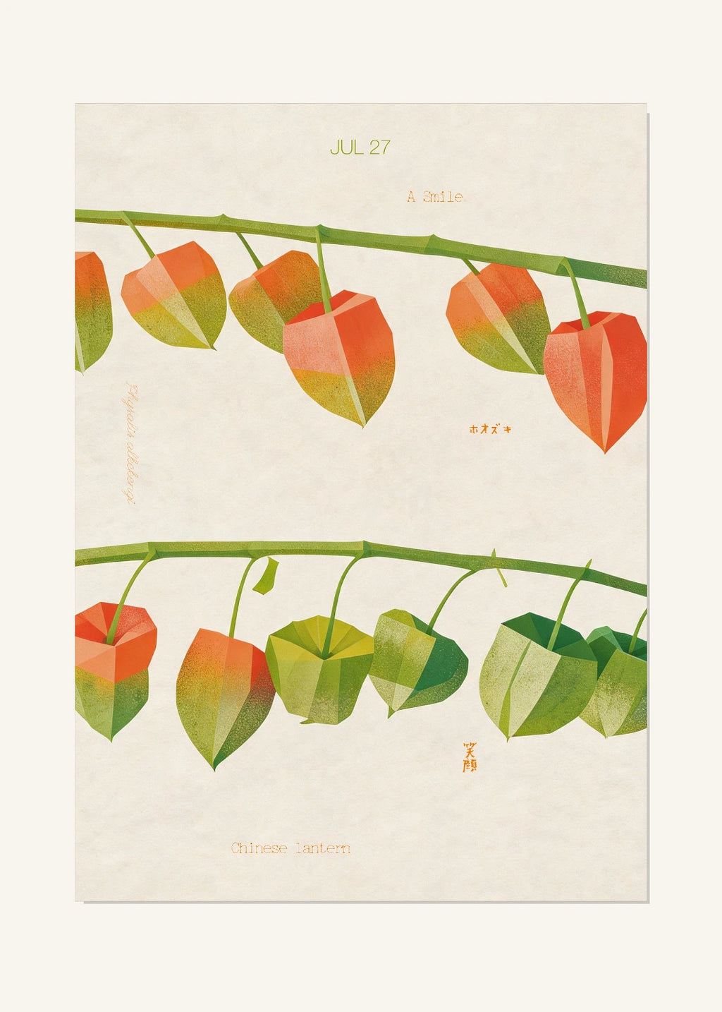 July 27 Birth Flower Poster — Chinese Lantern — clean