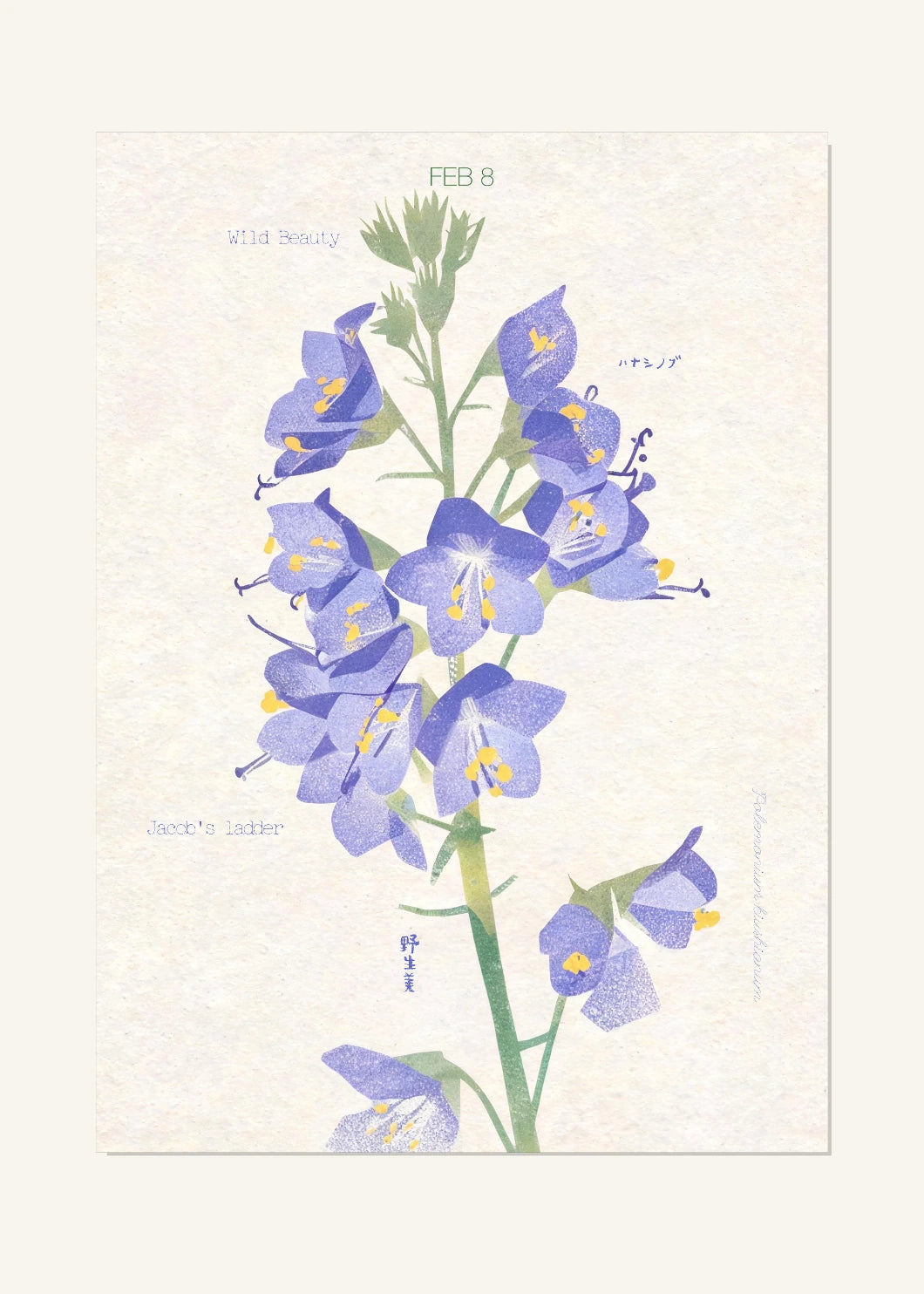 February 8 Birth Flower Poster — Japanese Jacob's Ladder — clean