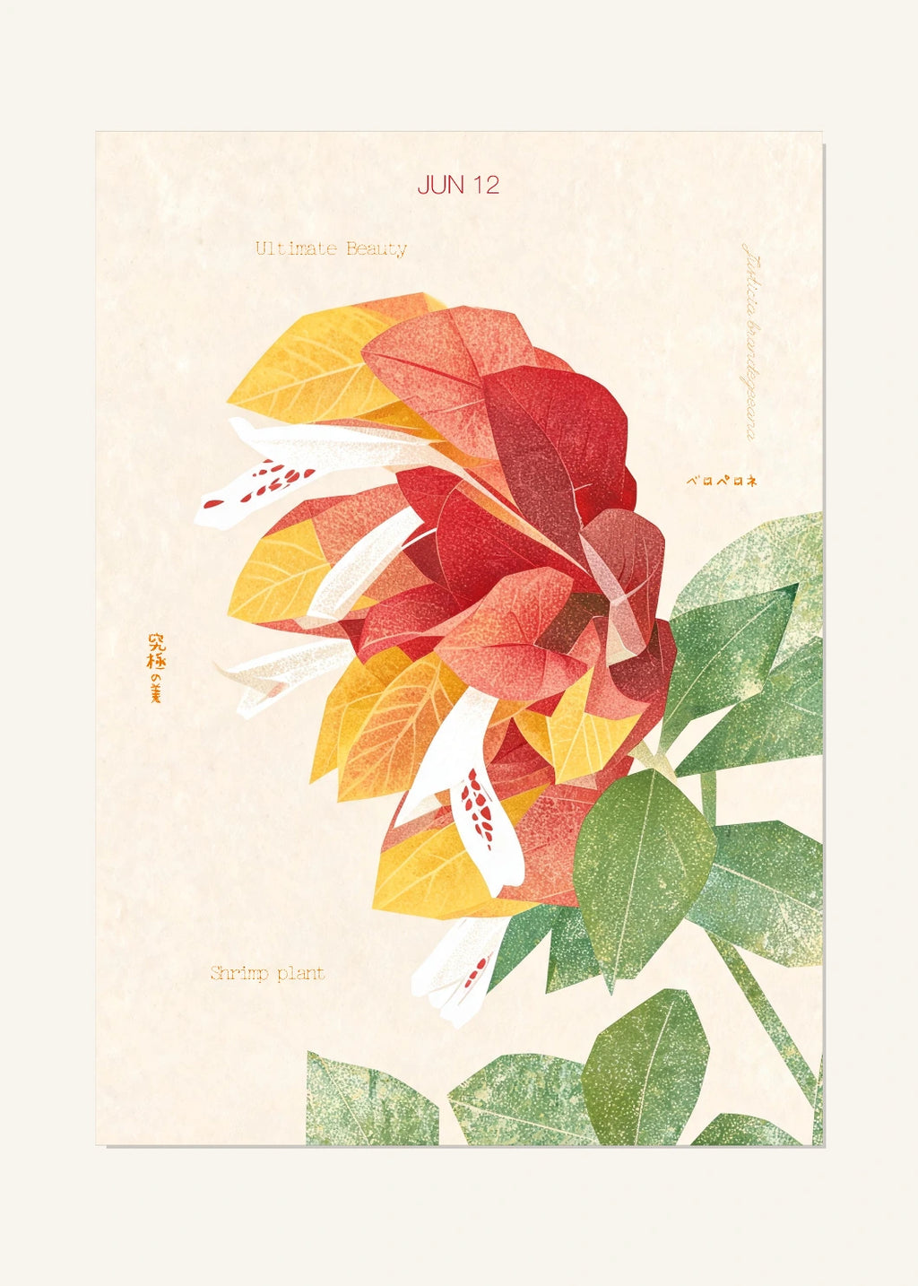June 12 Birth Flower Poster — Shrimp Plant — clean