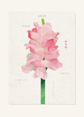 January 28 Birth Flower Poster — Snapdragon — clean