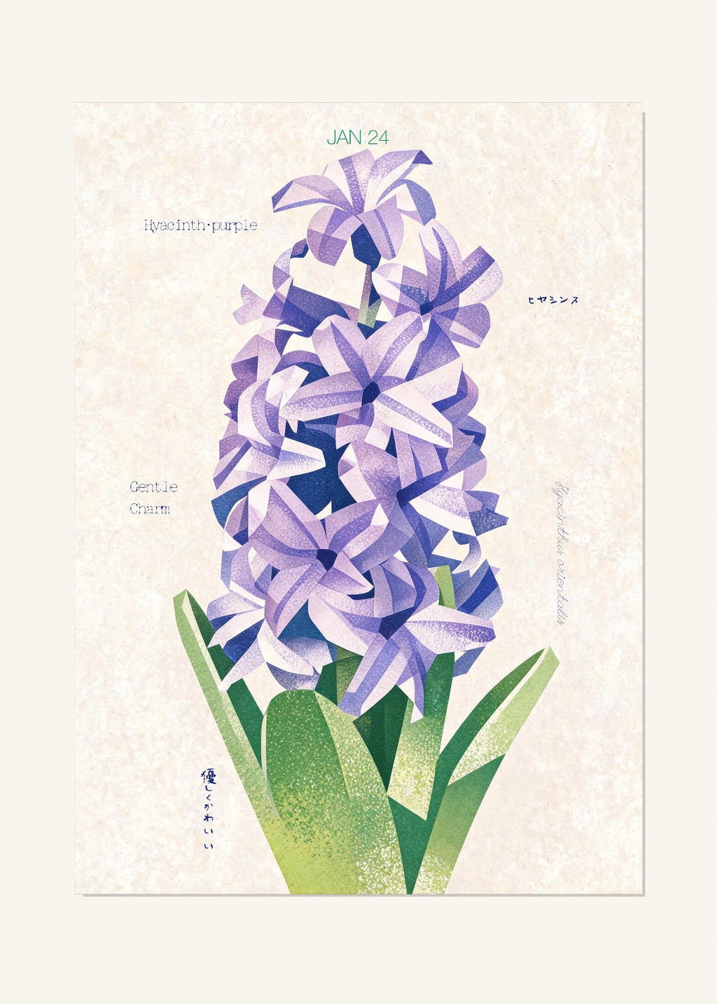 January 24 Birth Flower Poster — Hyacinth (Purple) — clean