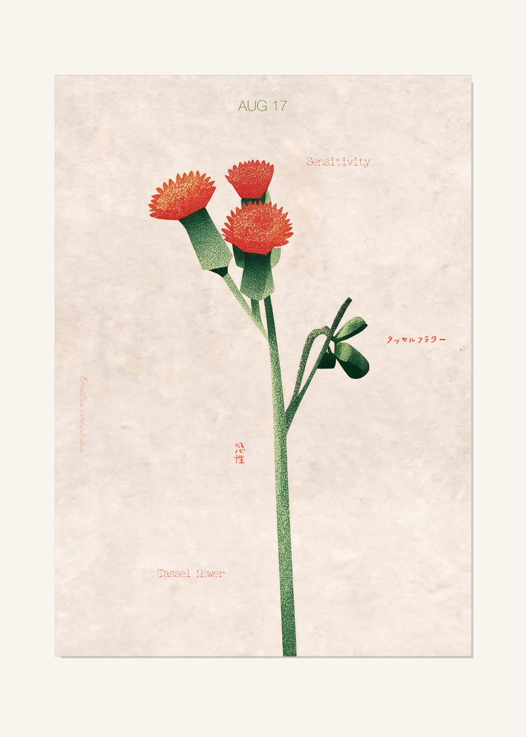 August 17 Birth Flower Poster — Tassel Flower — clean