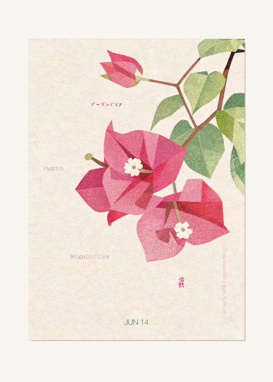 June 14 Birth Flower Poster — Bougainvillea — clean