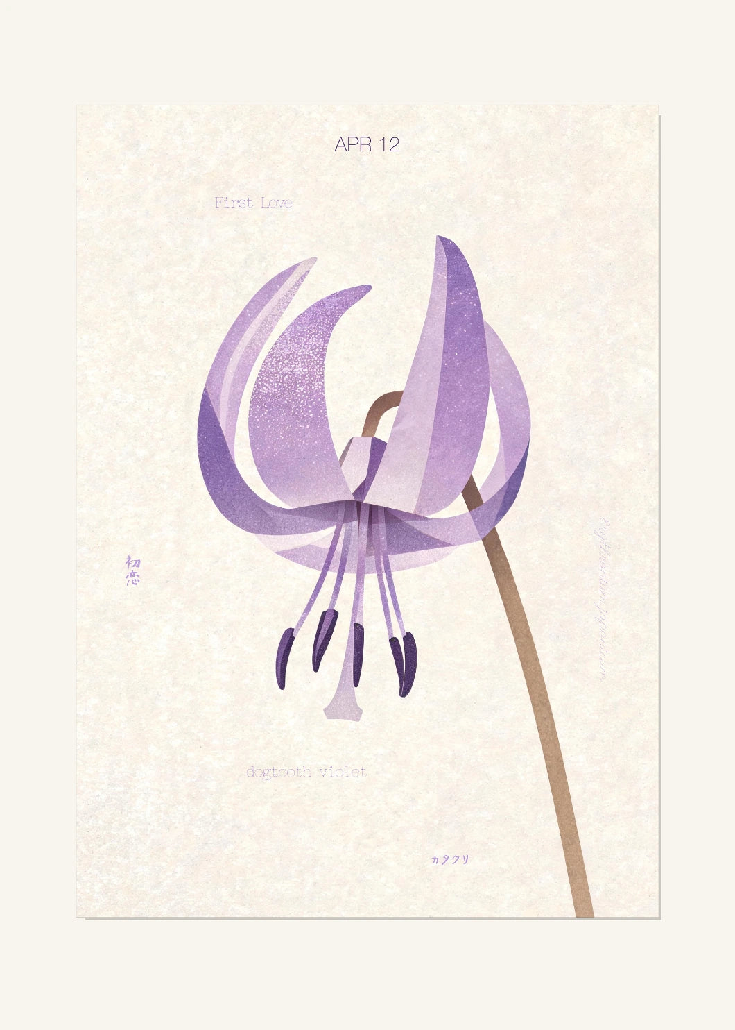 April 12 Birth Flower Poster — Japanese Dogtooth Violet — clean