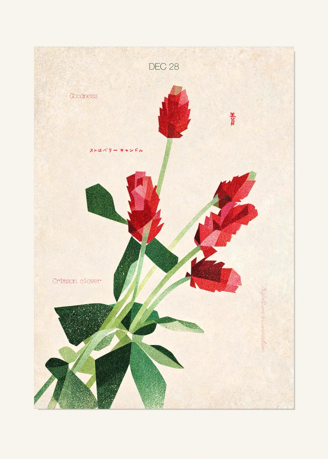 December 28 Birth Flower Poster — Crimson Clover — clean