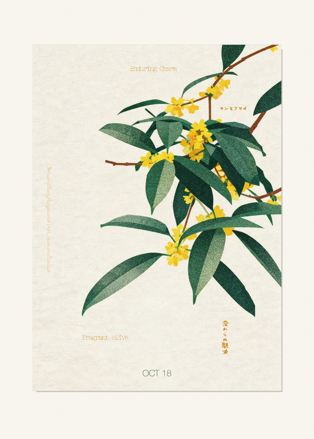 October 18 Birth Flower Poster — Fragrant Olive — clean