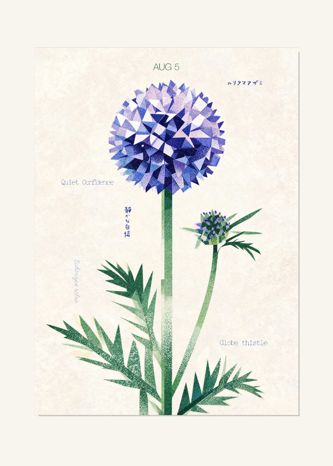 August 5 Birth Flower Poster — Globe Thistle — clean