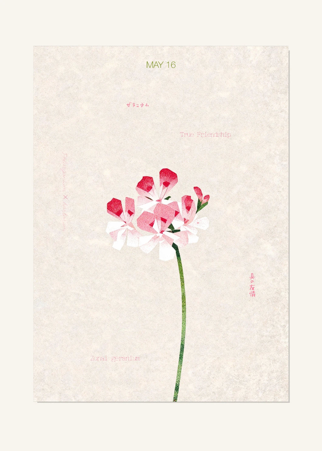 May 16 Birth Flower Poster — Zonal Geranium — clean