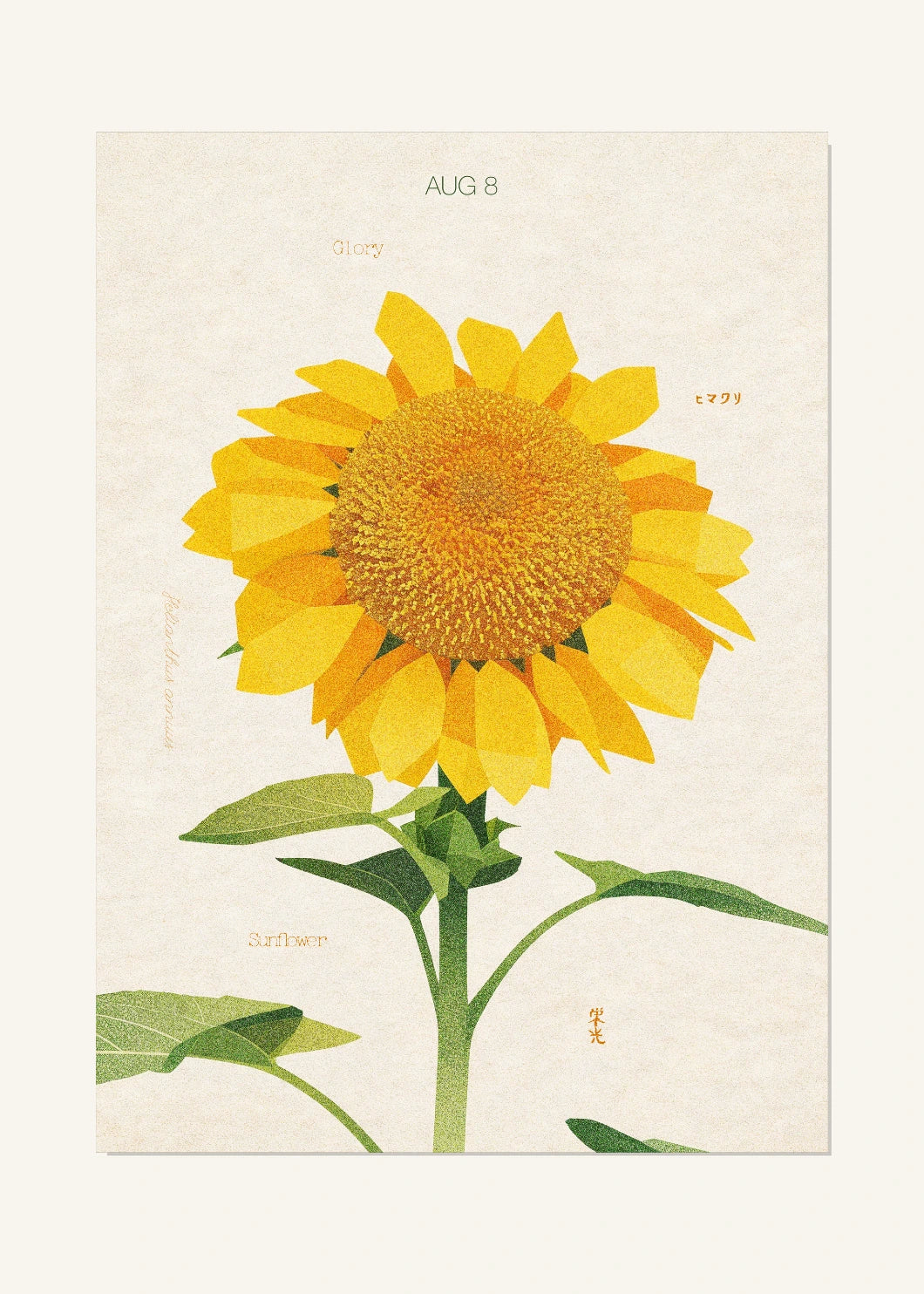 August 8 Birth Flower Poster — Sunflower — clean