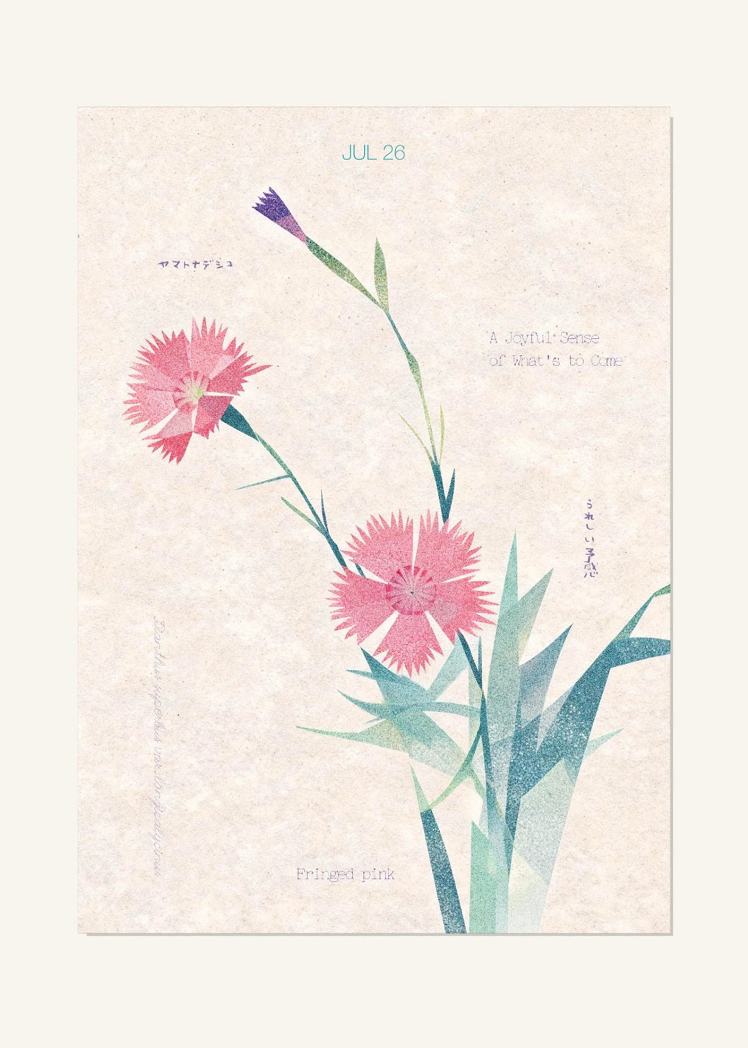 July 26 Birth Flower Poster — Fringed Pink — clean