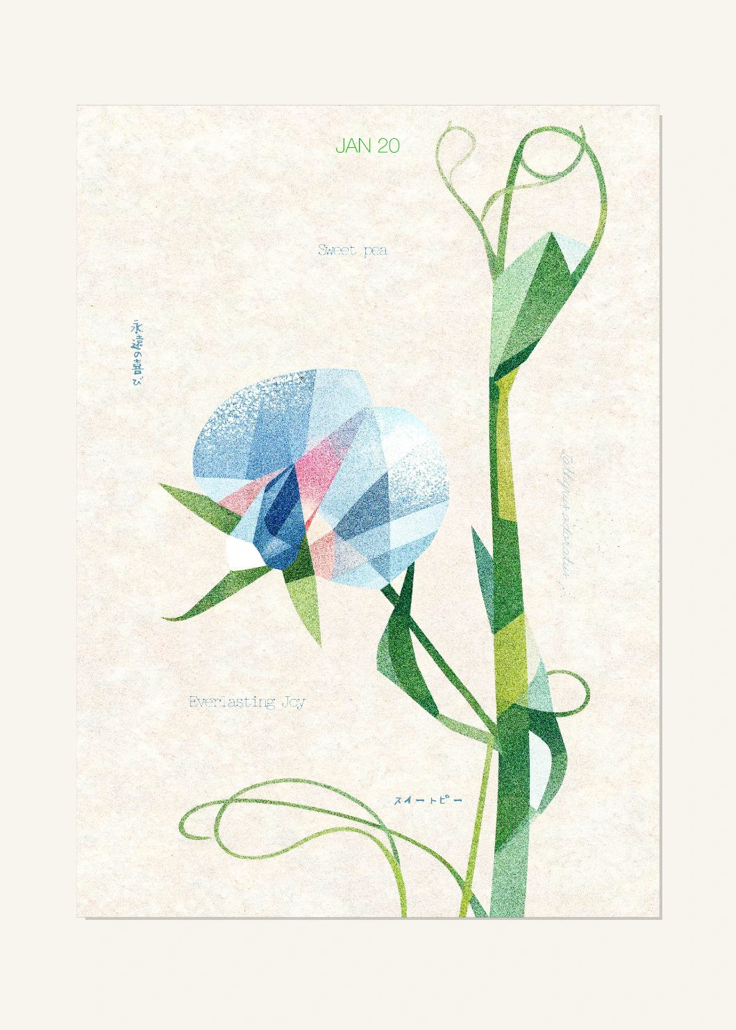 January 20 Birth Flower Poster — Sweet Pea — clean