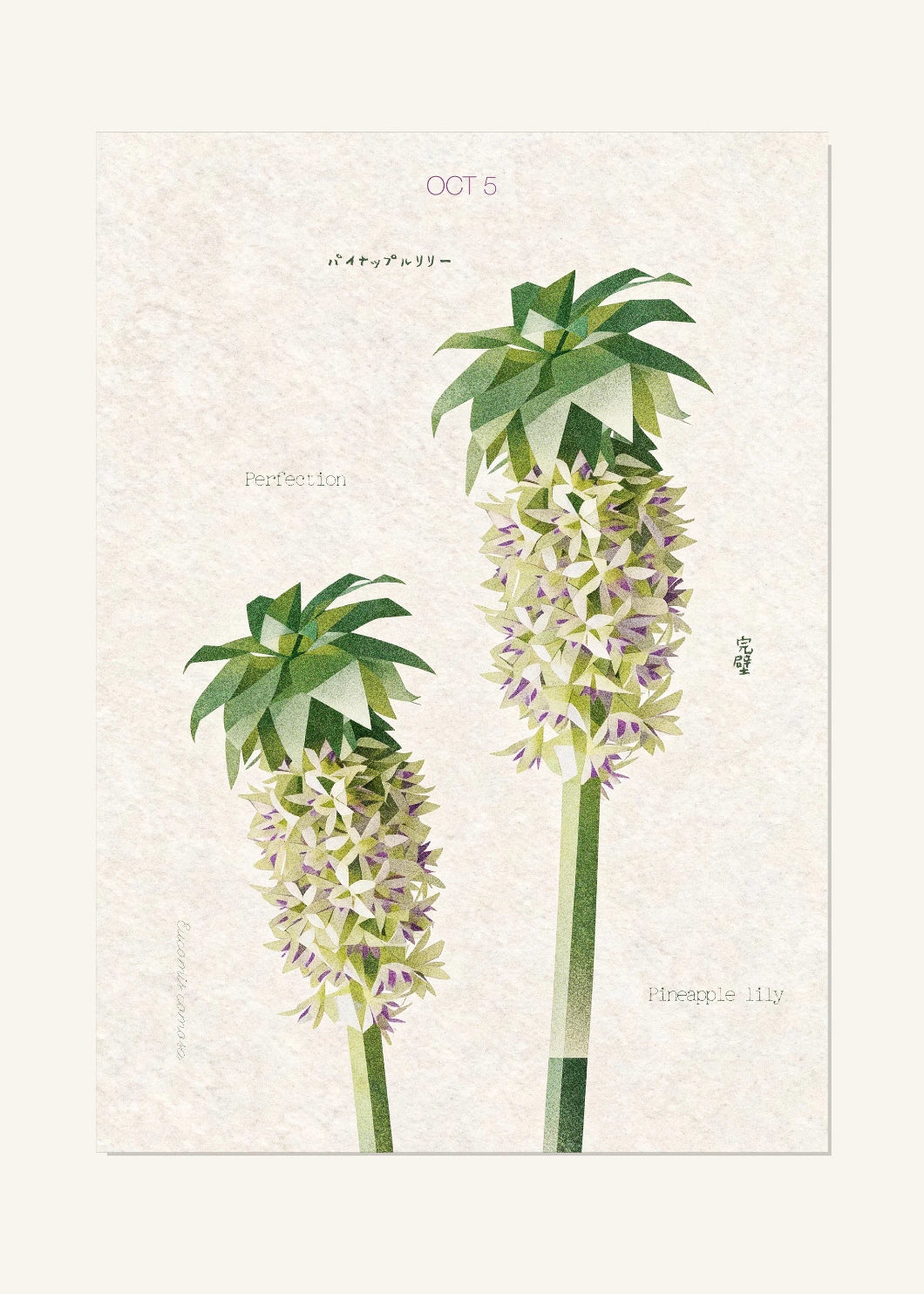 October 5 Birth Flower Poster — Pineapple Lily — clean
