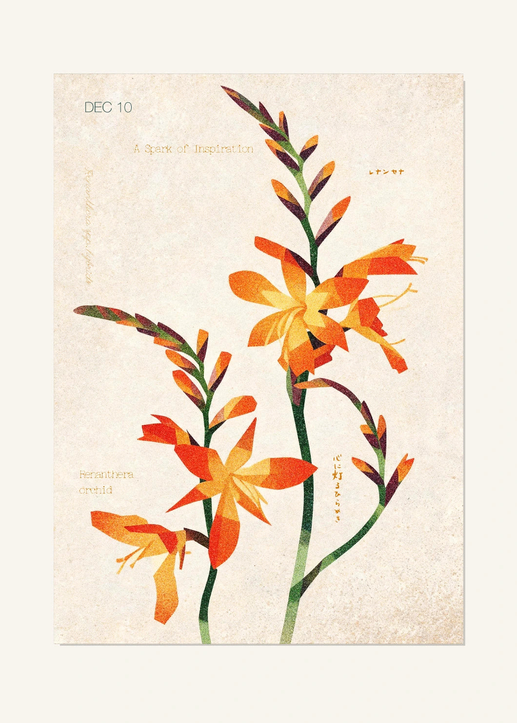 December 10 Birth Flower Poster — Renanthera Orchid — clean