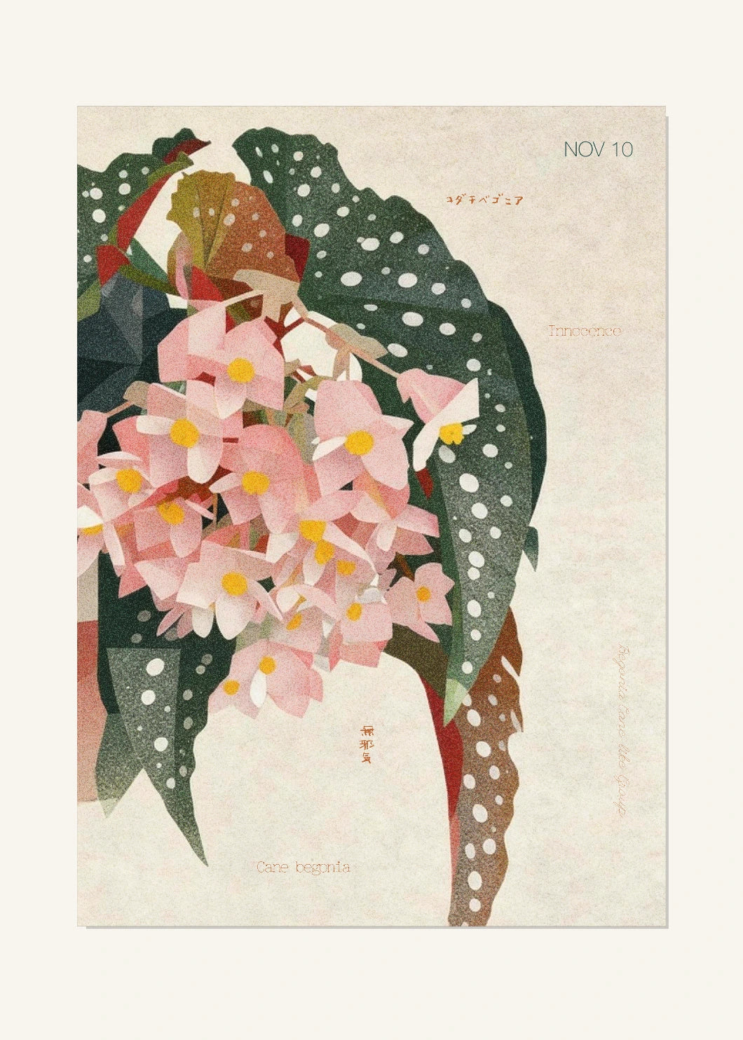 November 10 Birth Flower Poster — Cane Begonia — clean