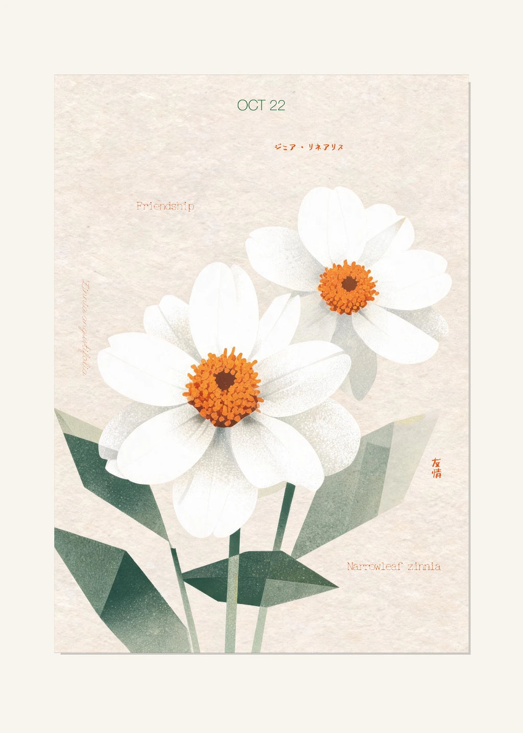 October 22 Birth Flower Poster — Narrowleaf Zinnia — clean