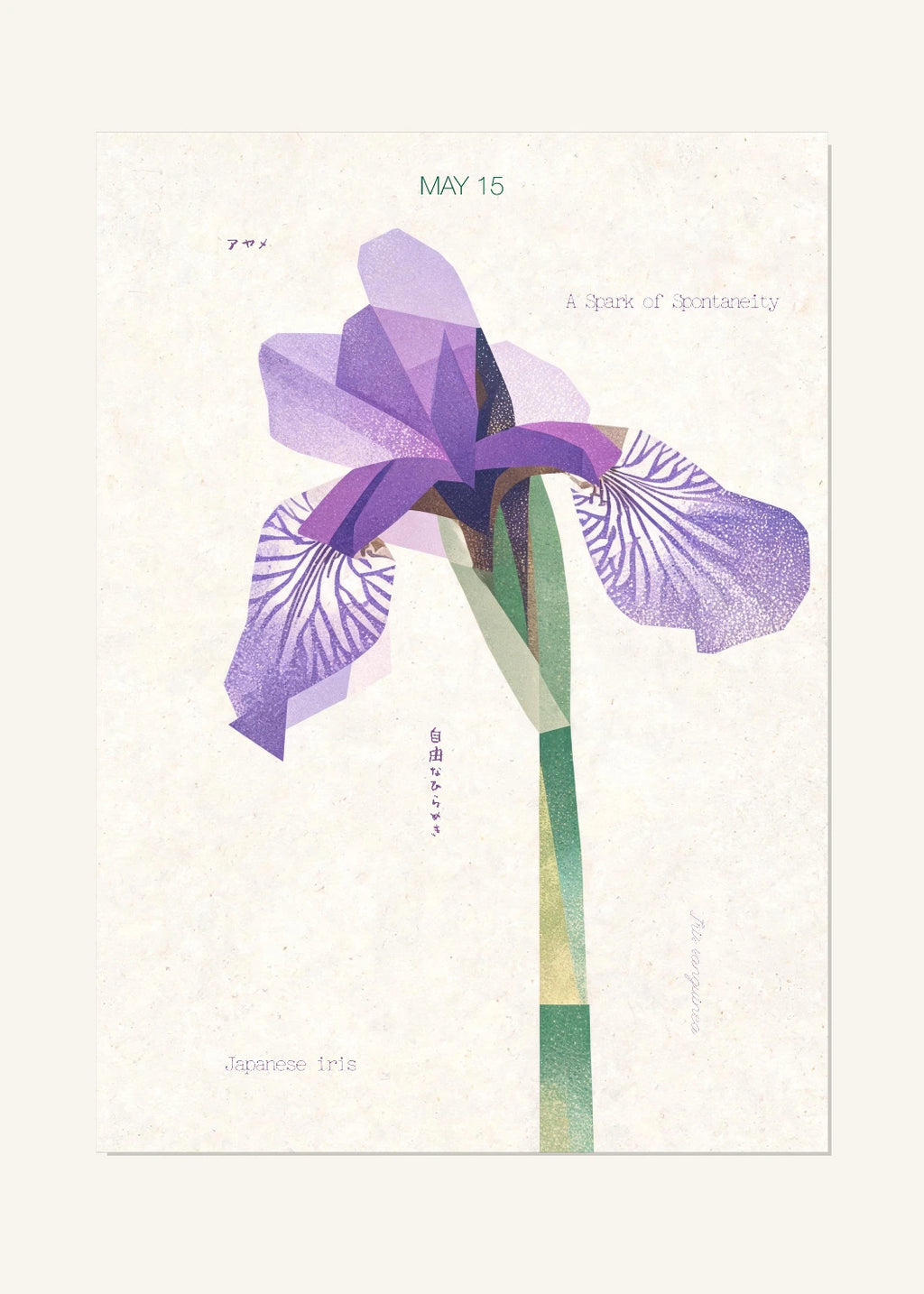 May 15 Birth Flower Poster — Japanese Iris — clean