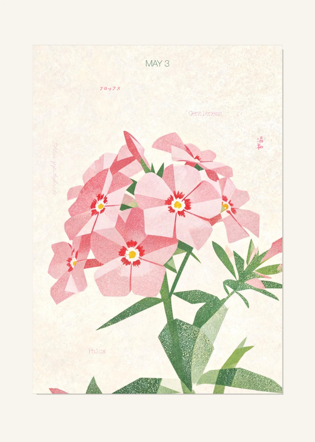 May 3 Birth Flower Poster — Phlox — clean