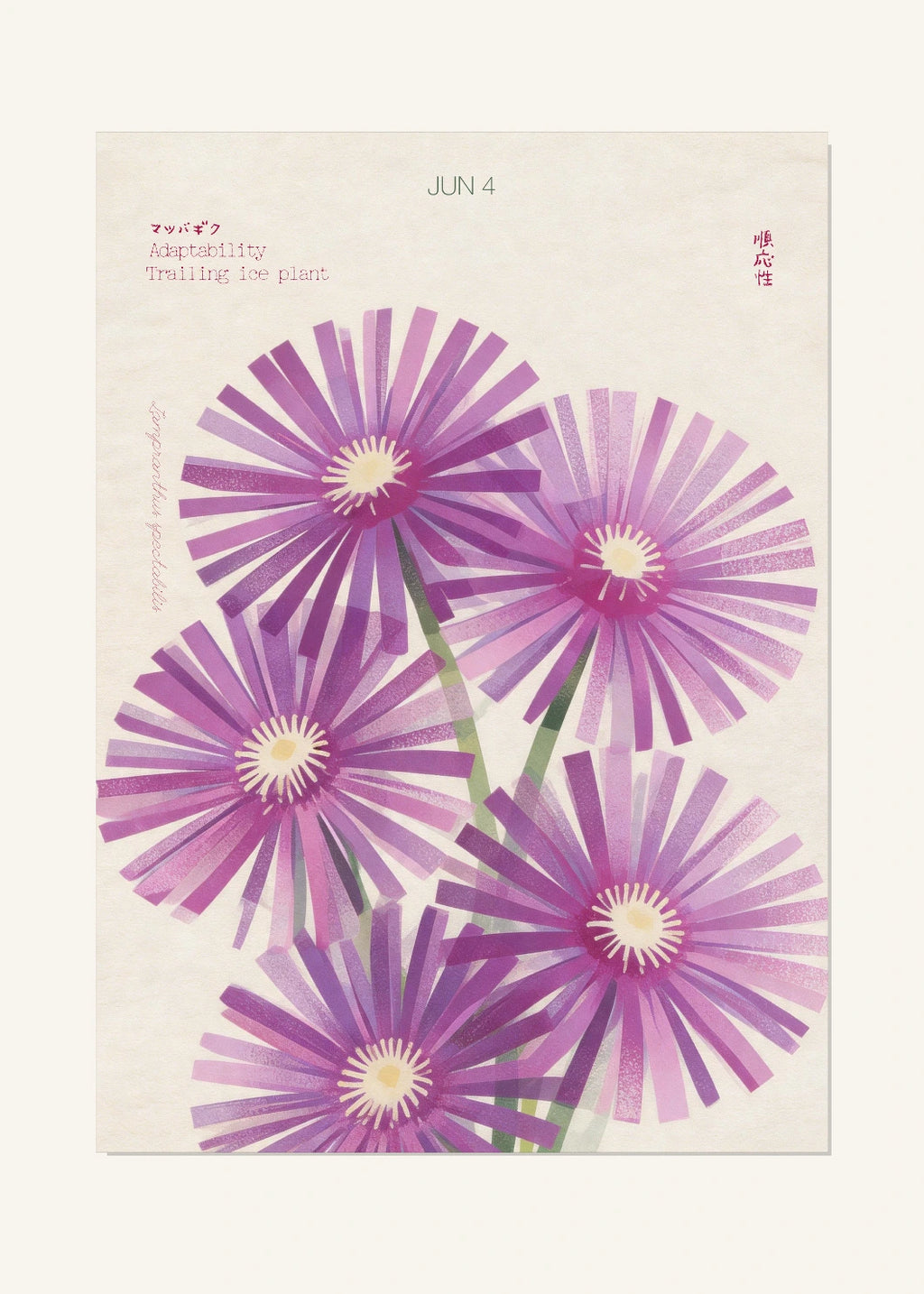 June 4 Birth Flower Poster — Trailing Ice Plant — clean