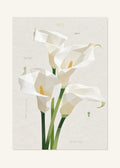 July 2 Birth Flower Poster — Calla Lily (White) — clean