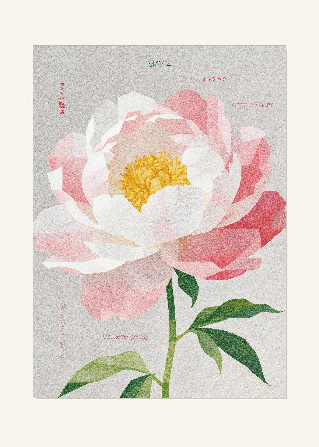May 4 Birth Flower Poster — Chinese Peony — clean