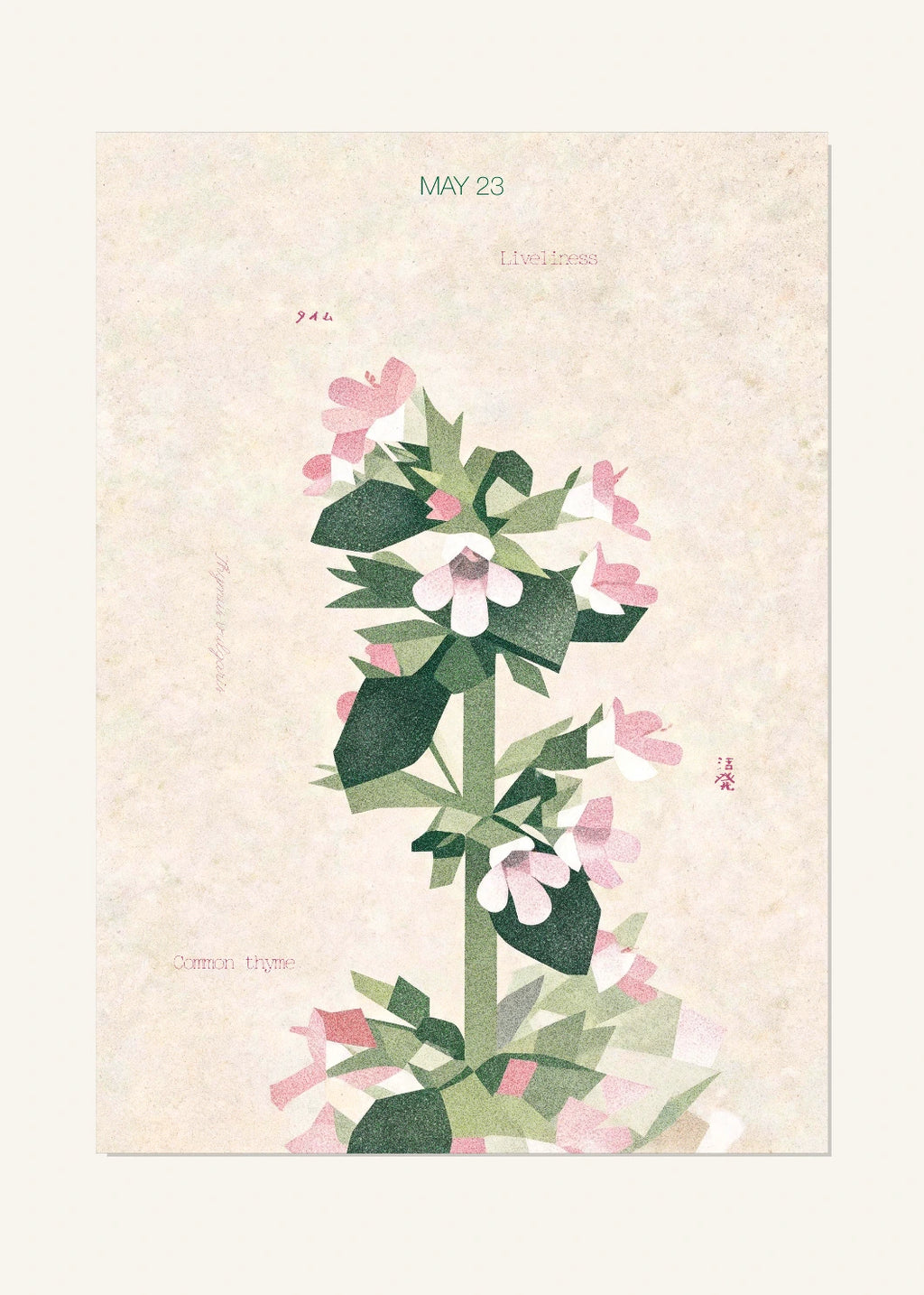 May 23 Birth Flower Poster — Common Thyme — clean