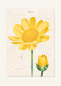 April 21 Birth Flower Poster — Gold Coin Daisy — clean