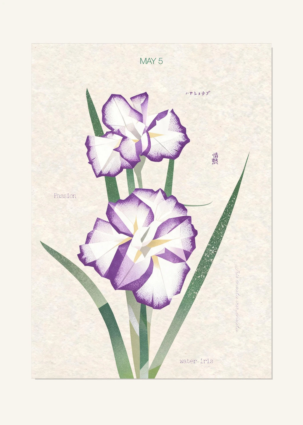 May 5 Birth Flower Poster — Japanese Water Iris — clean