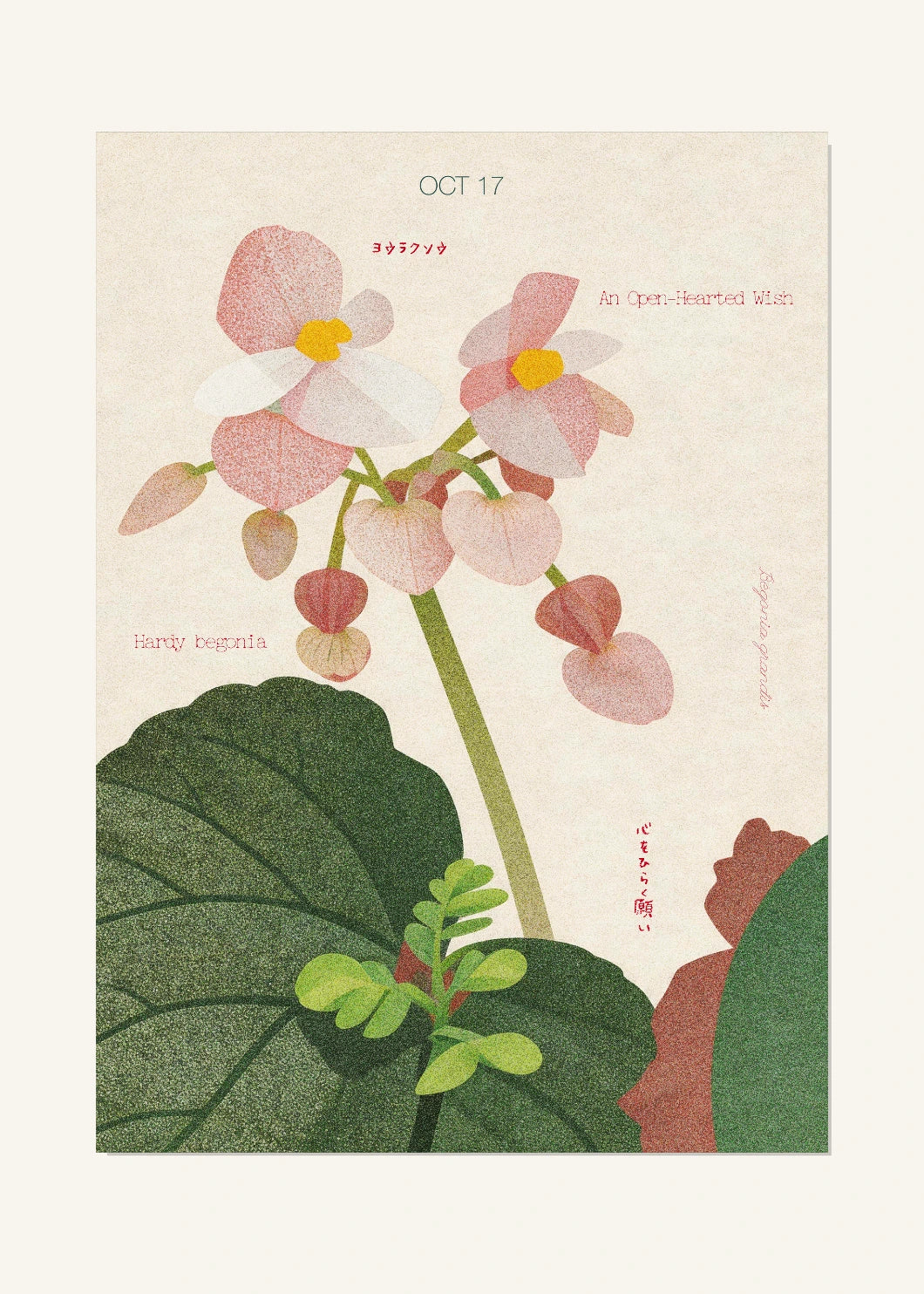 October 17 Birth Flower Poster — Hardy Begonia — clean