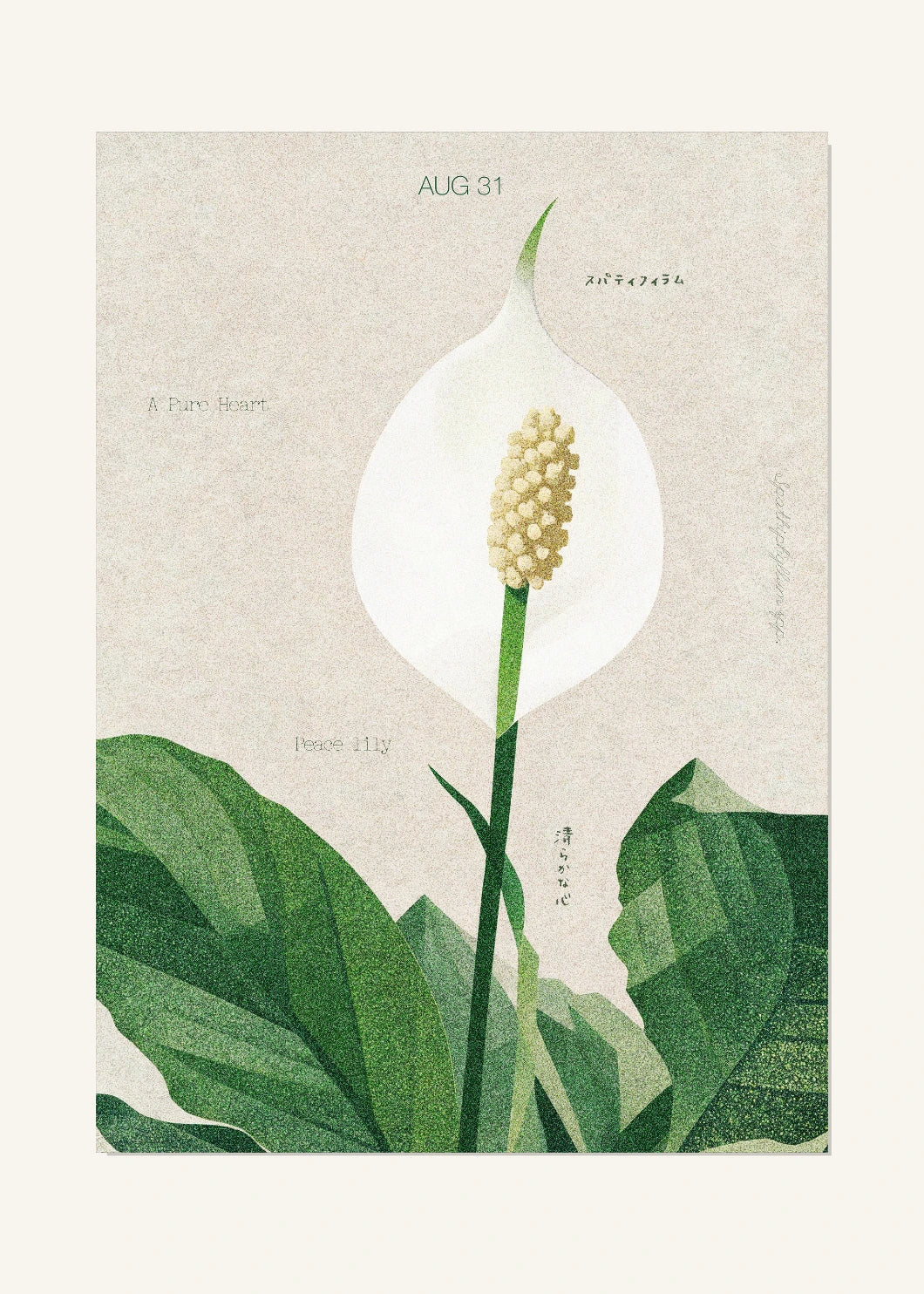 August 31 Birth Flower Poster — Peace Lily — clean