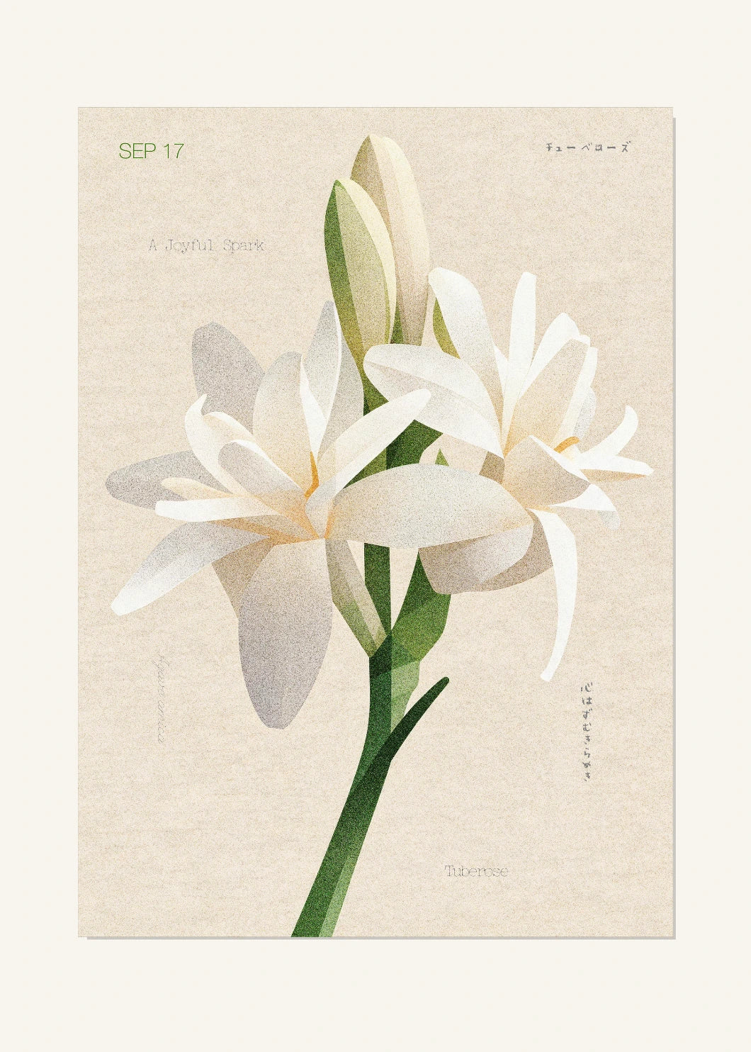 September 17 Birth Flower Poster — Tuberose — clean