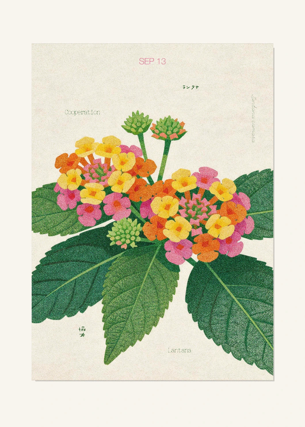September 13 Birth Flower Poster — Lantana — clean