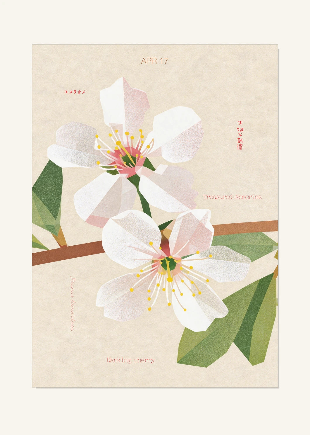 April 17 Birth Flower Poster — Nanking Cherry — clean