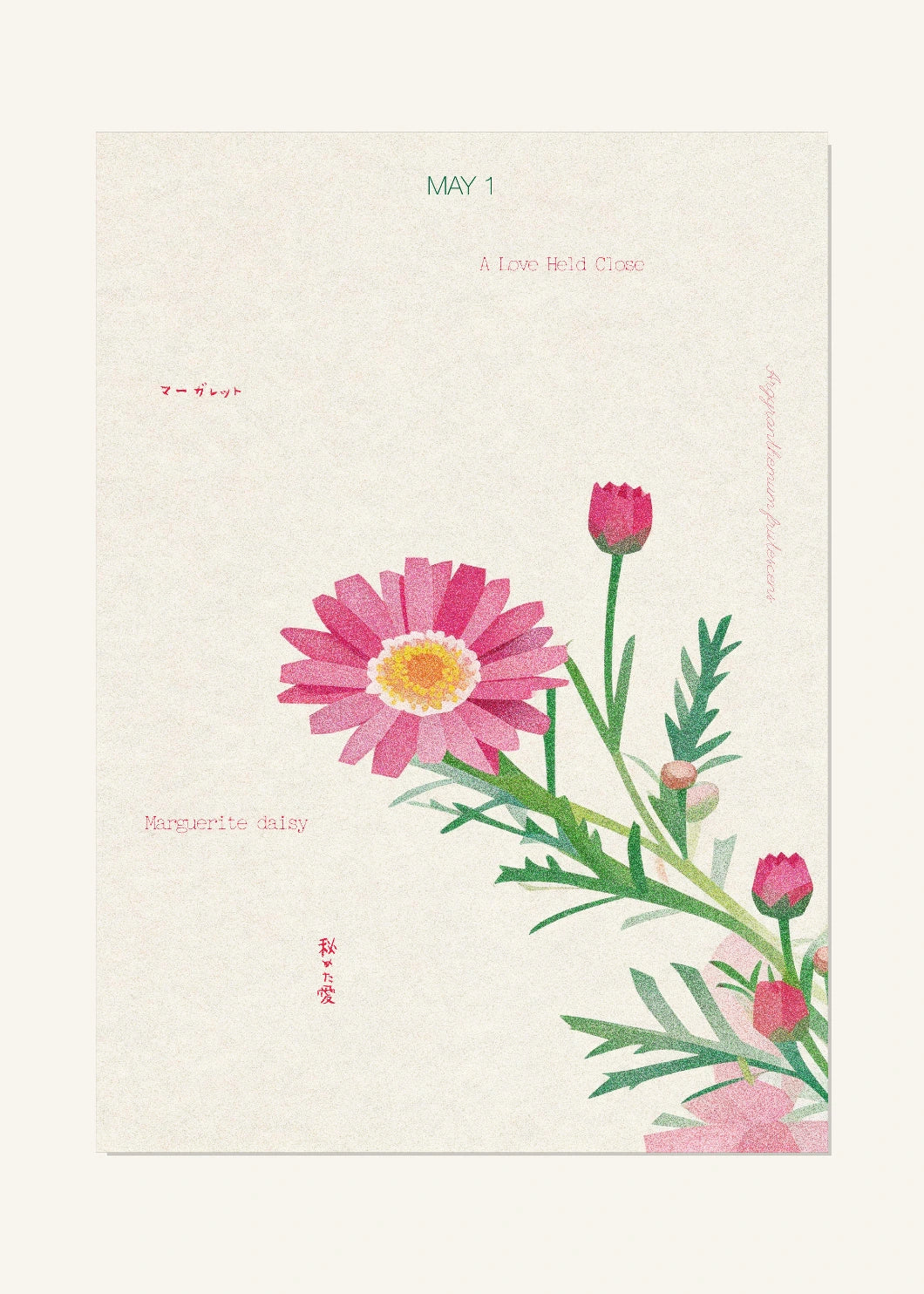 May 1 Birth Flower Poster — Marguerite Daisy — clean