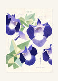 August 23 Birth Flower Poster — Wishbone Flower — clean