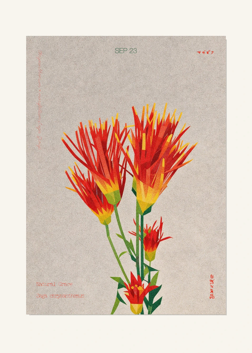 September 23 Birth Flower Poster — Saga Chrysanthemum — clean