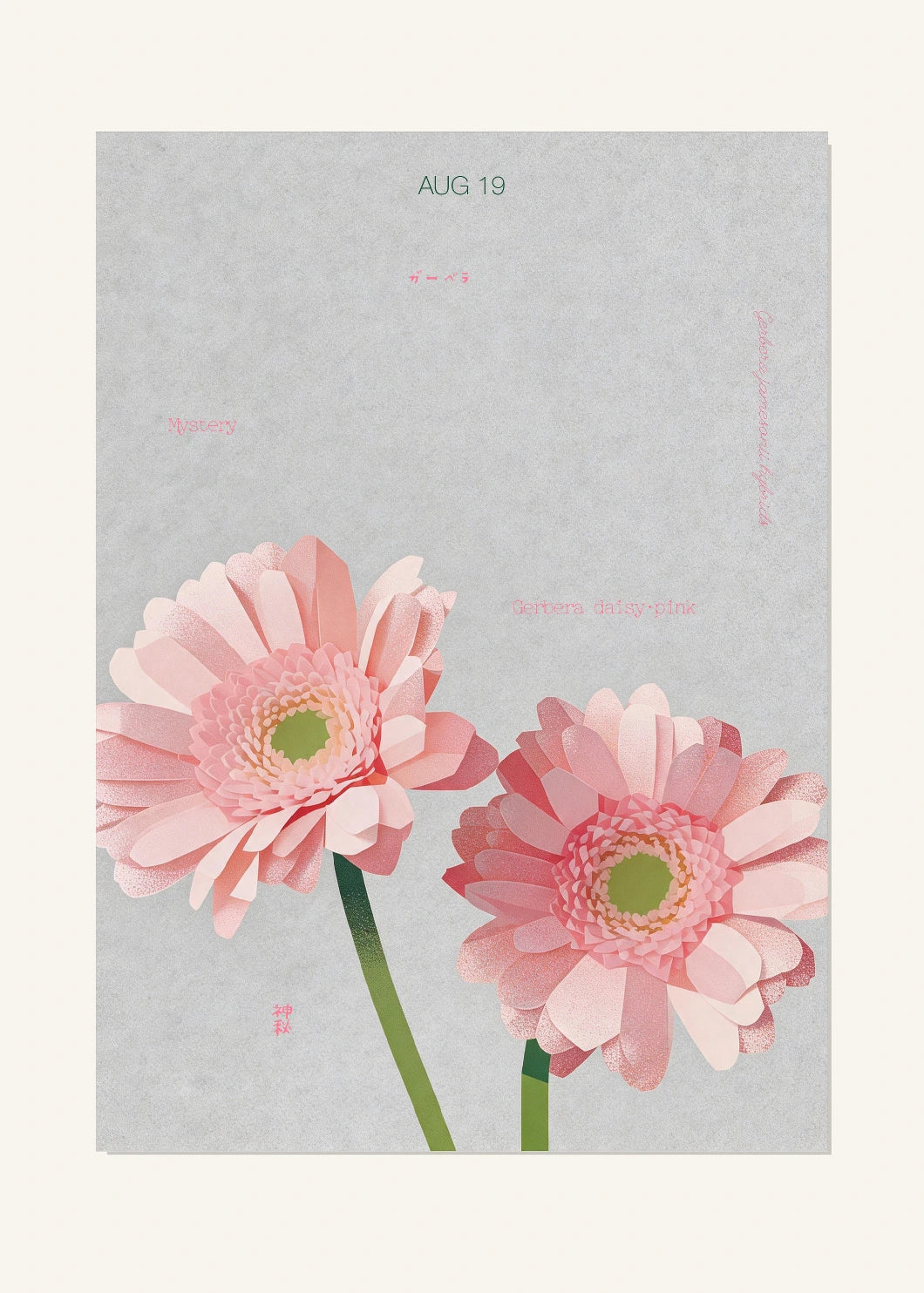 August 19 Birth Flower Poster — Gerbera Daisy (Pink) — clean