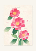 January 12 Birth Flower Poster — Winter Sasanqua — clean