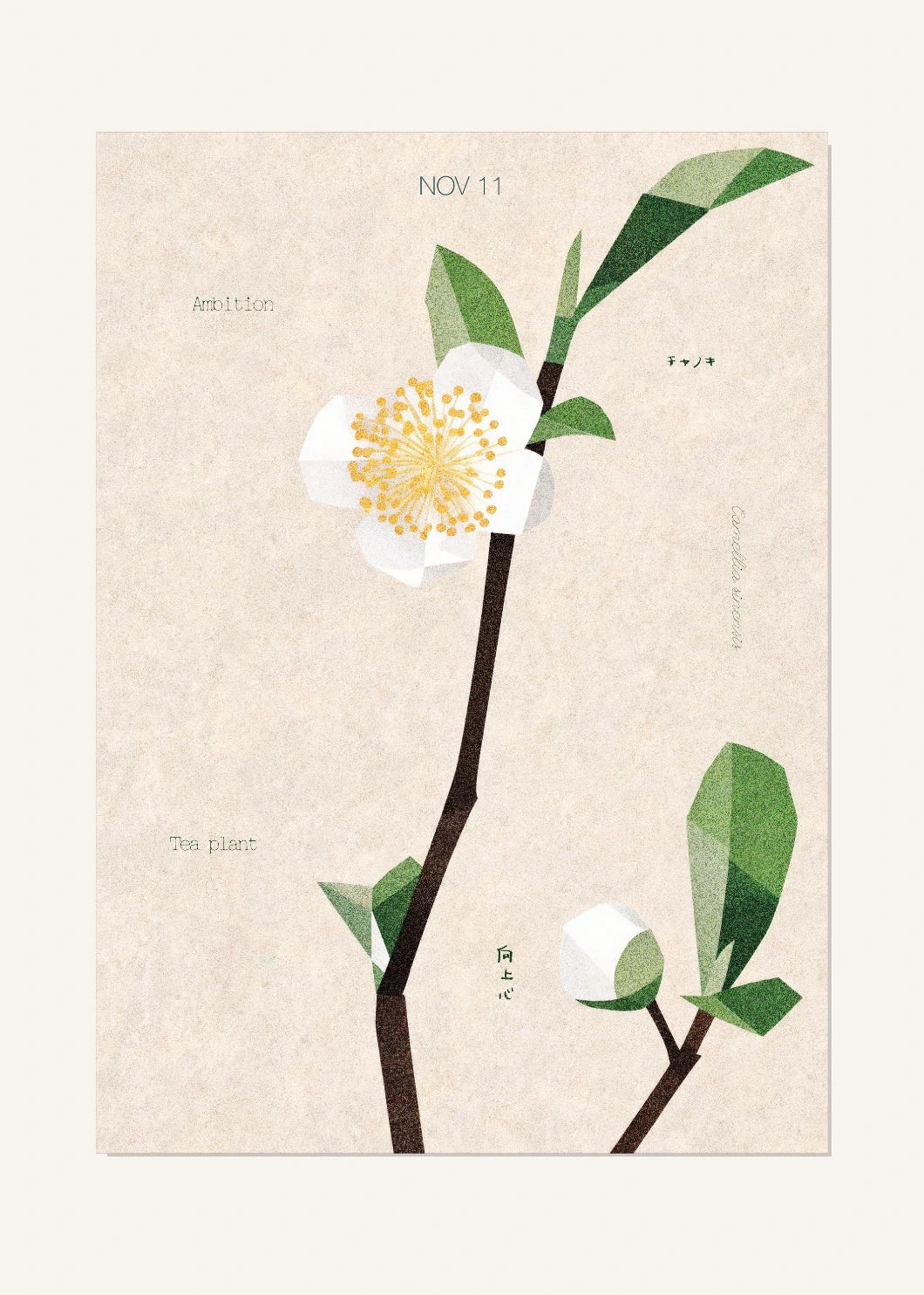 November 11 Birth Flower Poster — Tea Plant — clean