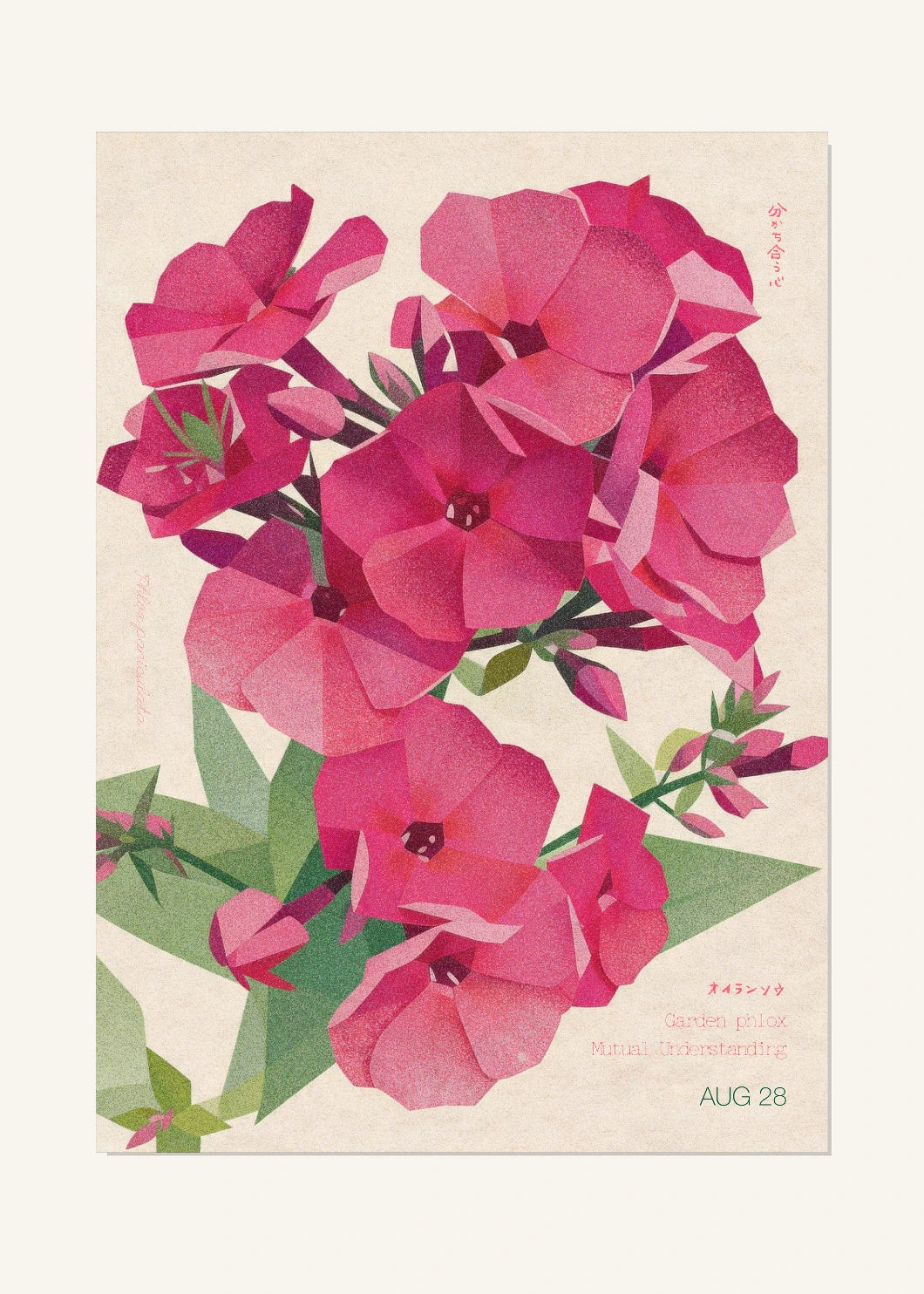 August 28 Birth Flower Poster — Garden Phlox — clean