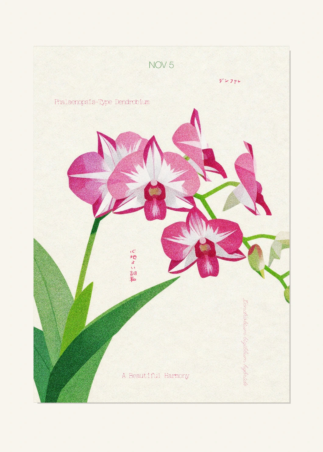 November 5 Birth Flower Poster — Dendrobium Phalaenopsis — clean