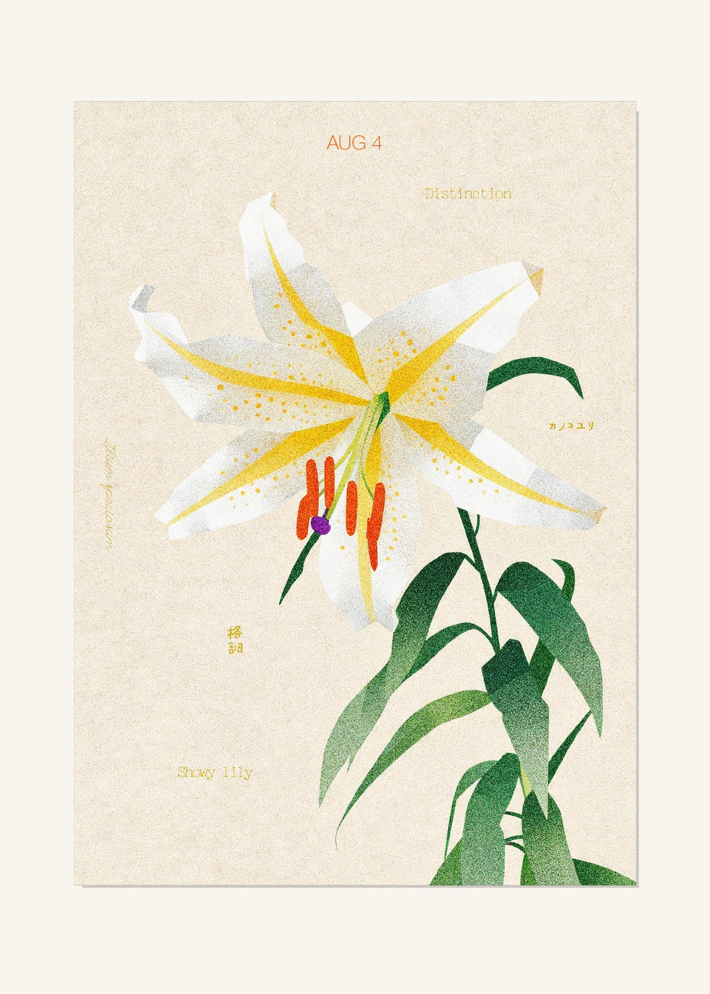 August 4 Birth Flower Poster — Showy Lily — clean