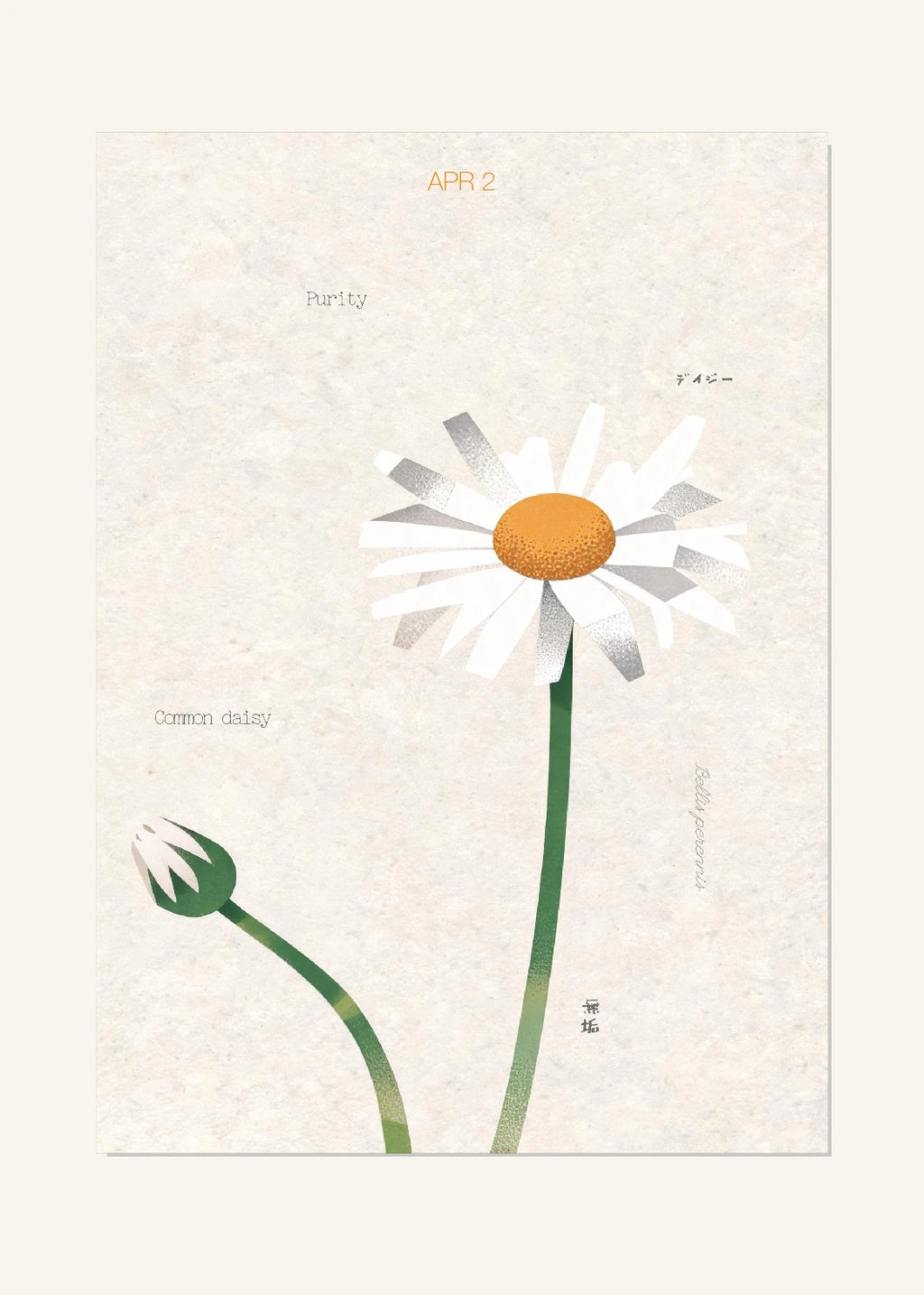 April 2 Birth Flower Poster — Common Daisy — clean