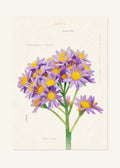 October 11 Birth Flower Poster — Cushion Mum — clean